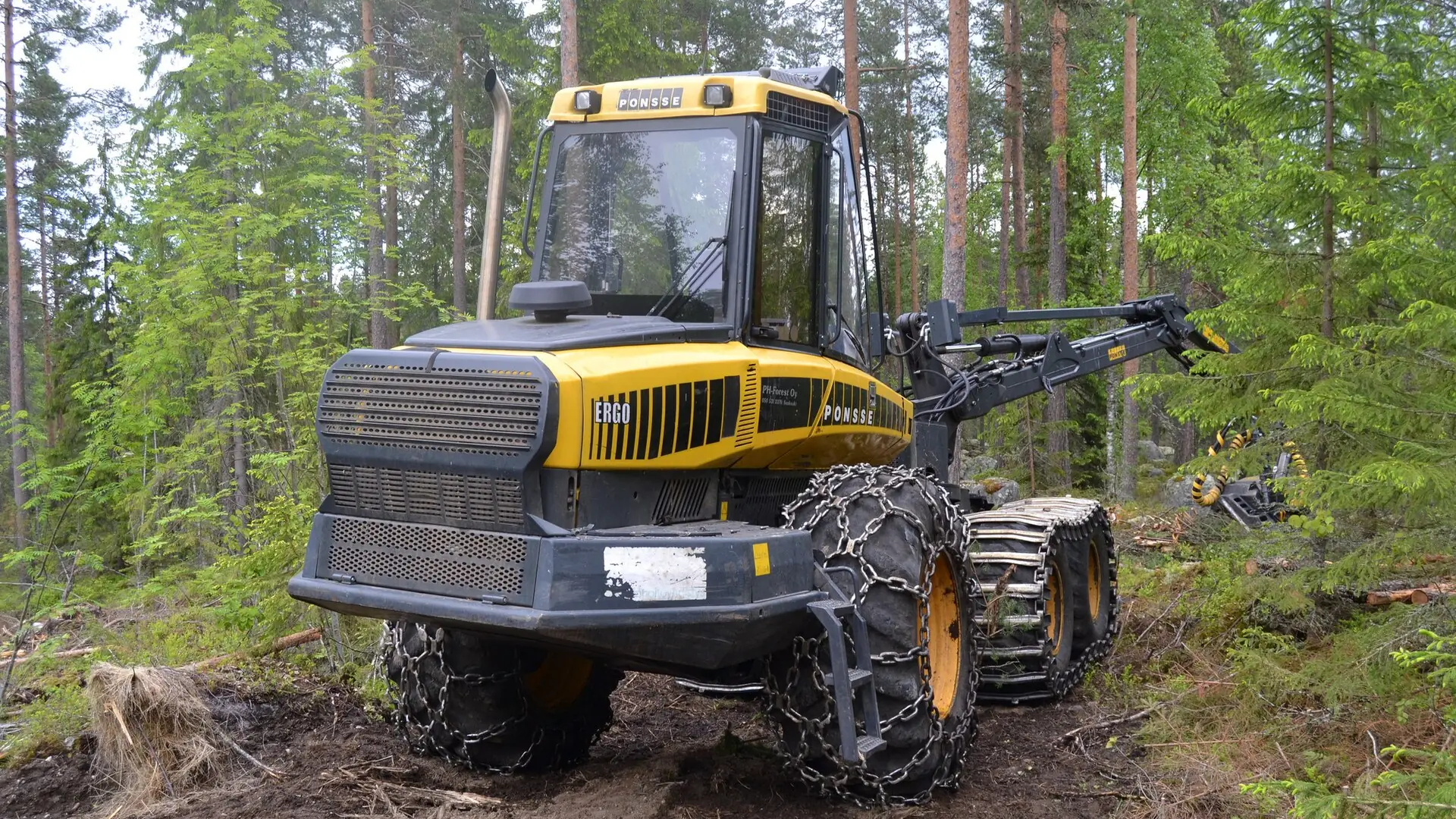 Harvesters cirsmā – pirms galvenās cirtes jāsaņem VMD ciršanas apliecinājums