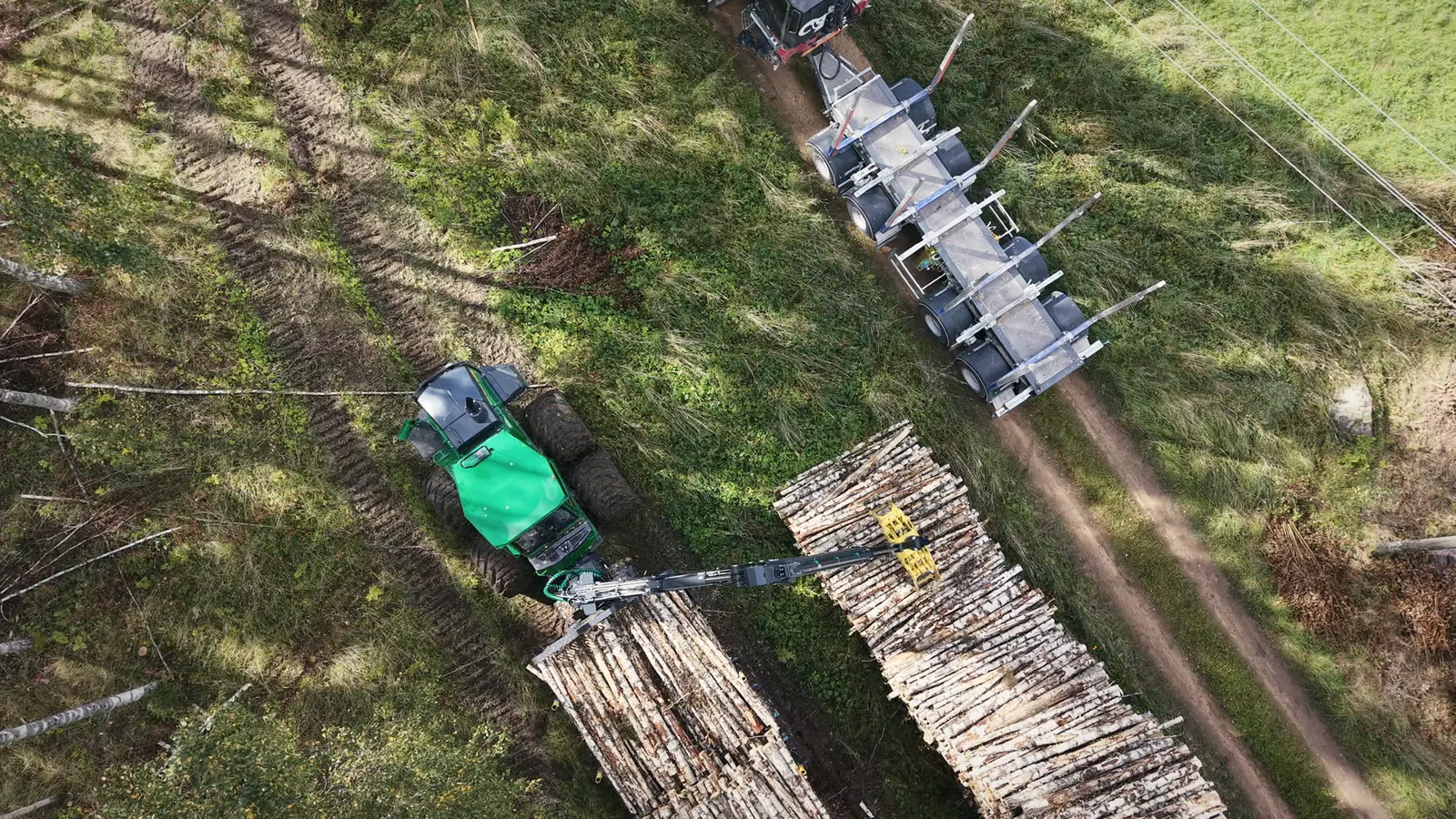 Forvarders, krautuve un kokvedējs no drona – foto 3