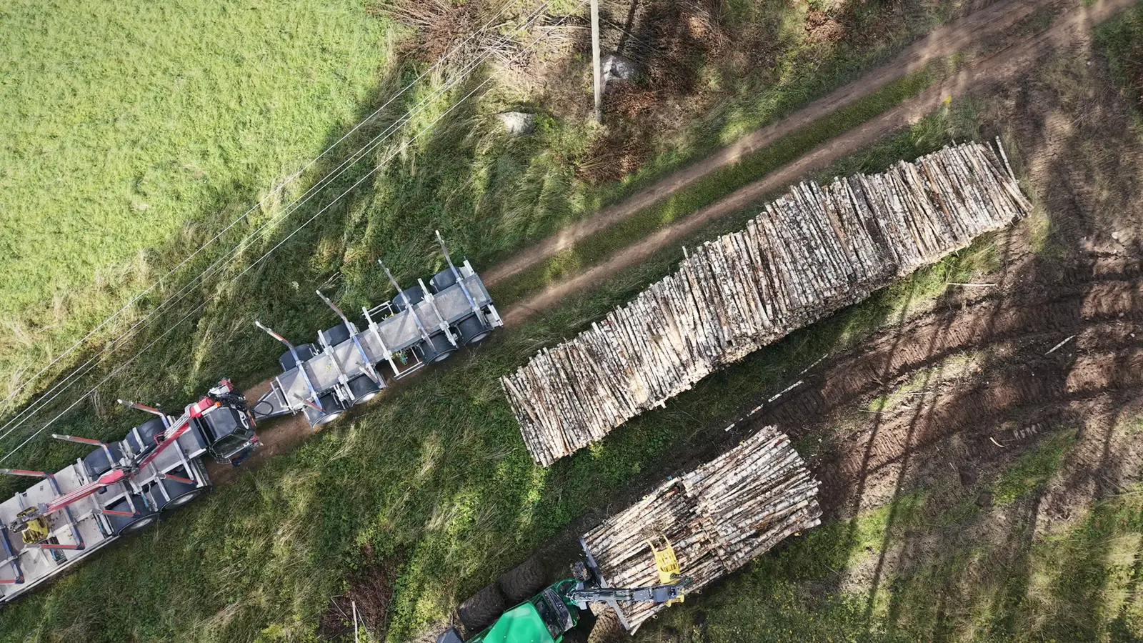 Forvarders, krautuve un kokvedējs no drona – foto 2