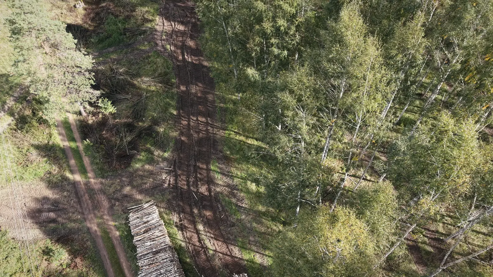 Forvarders, krautuve un kokvedējs no drona – foto 6