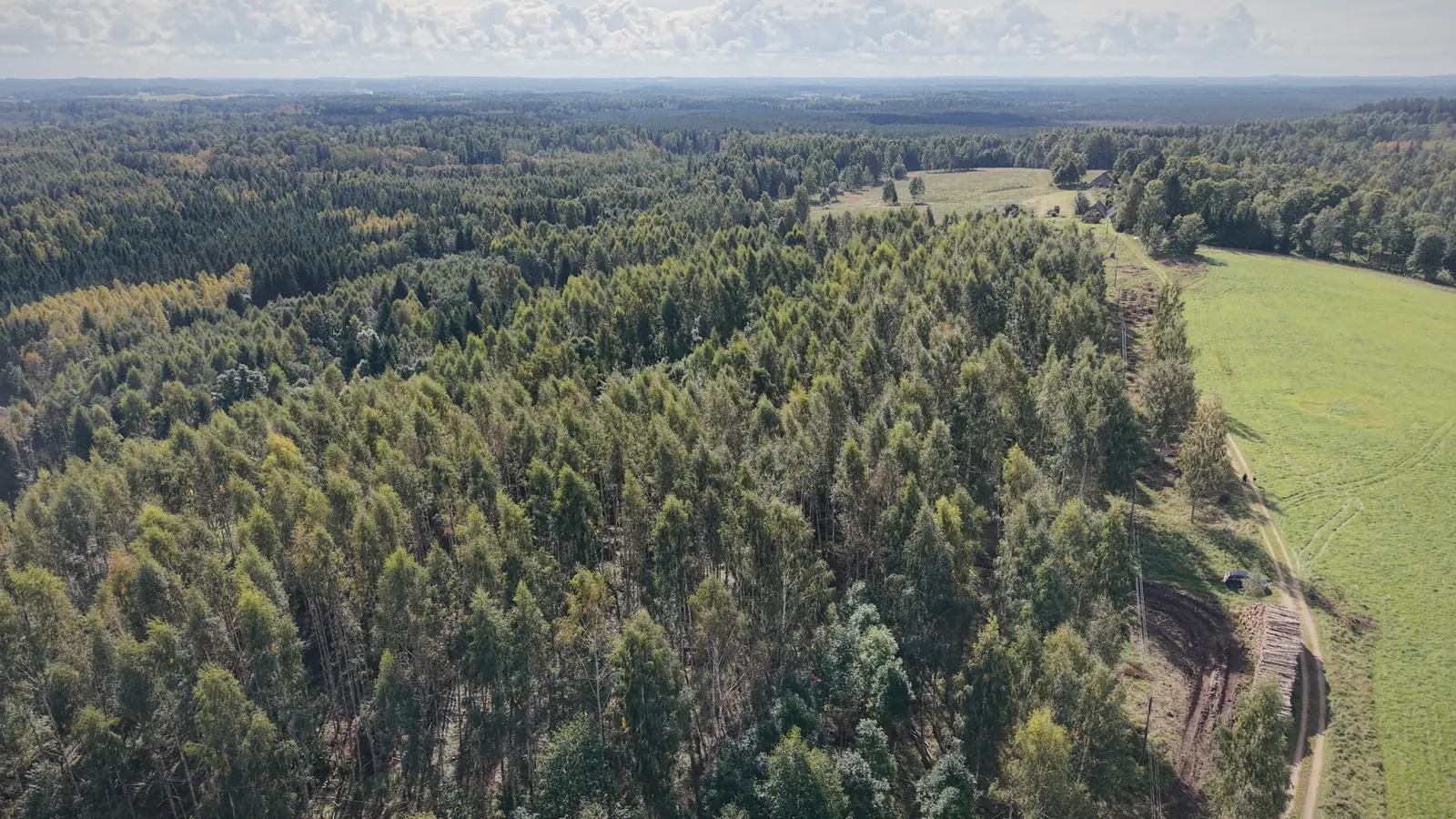 Forvarders, krautuve un kokvedējs no drona – foto 4