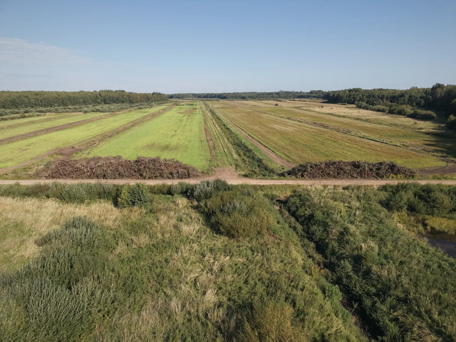 Atbrīvota lauksaimniecības zeme un savākts apaugums – foto 5