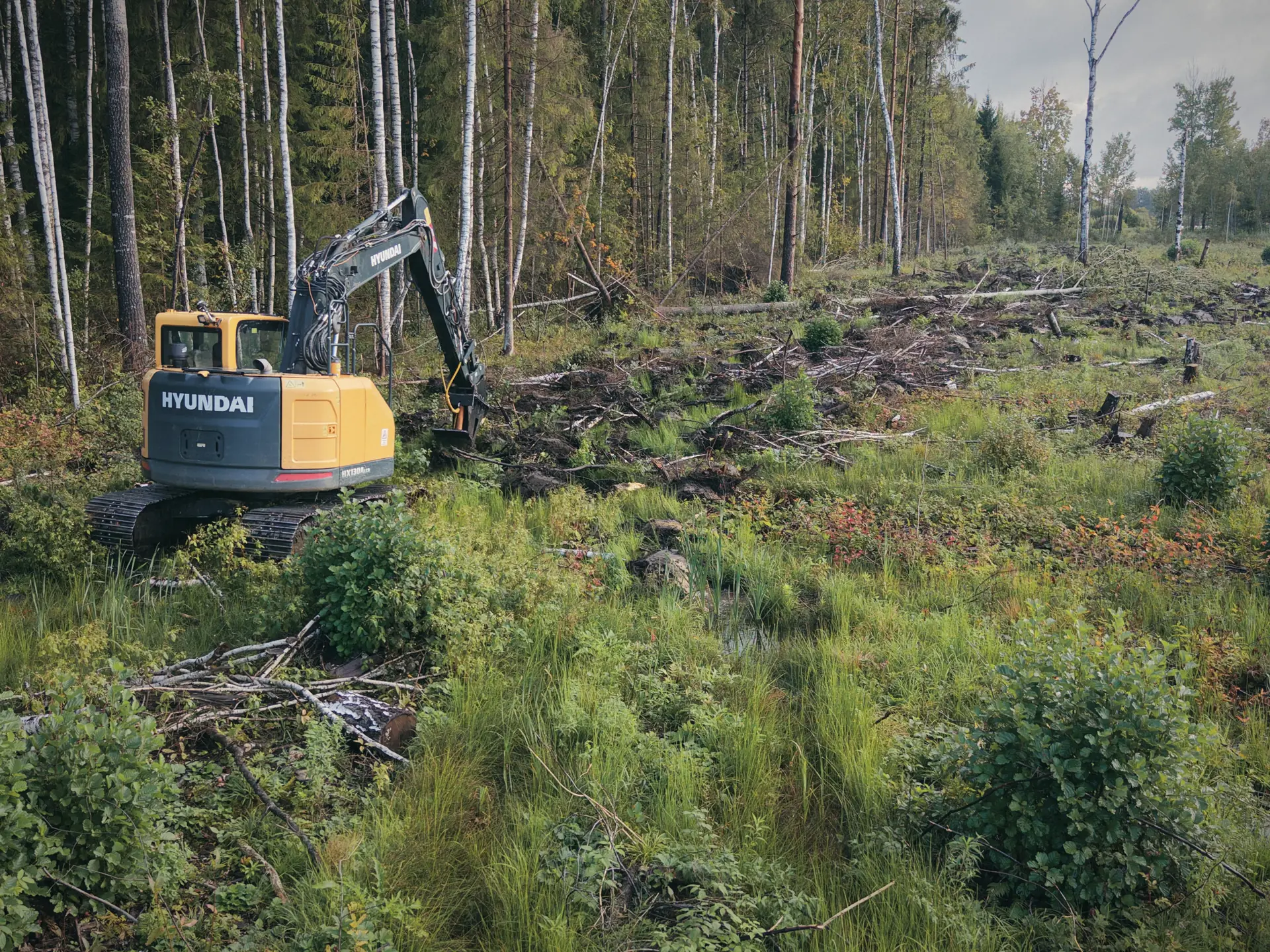 AJ Forest ekskavators novāc apaugumu