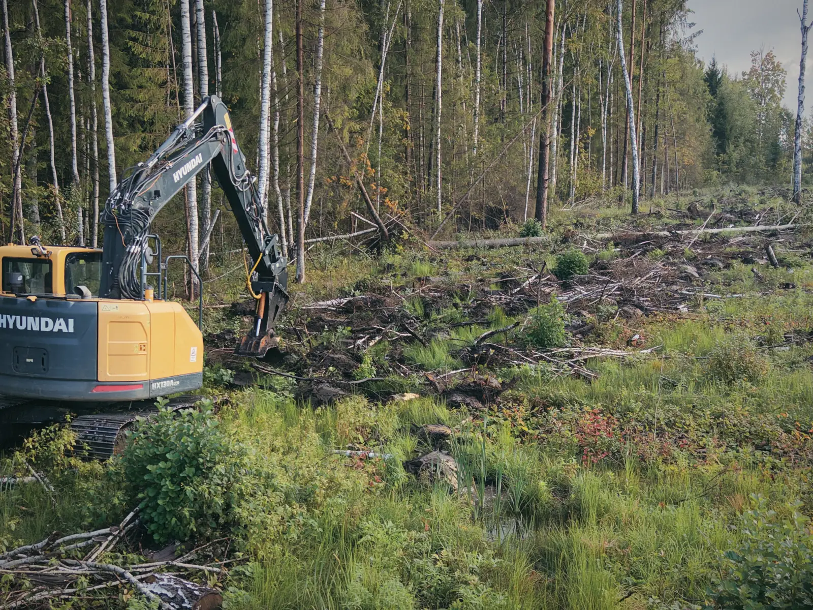 AJ Forest tehnika darbā