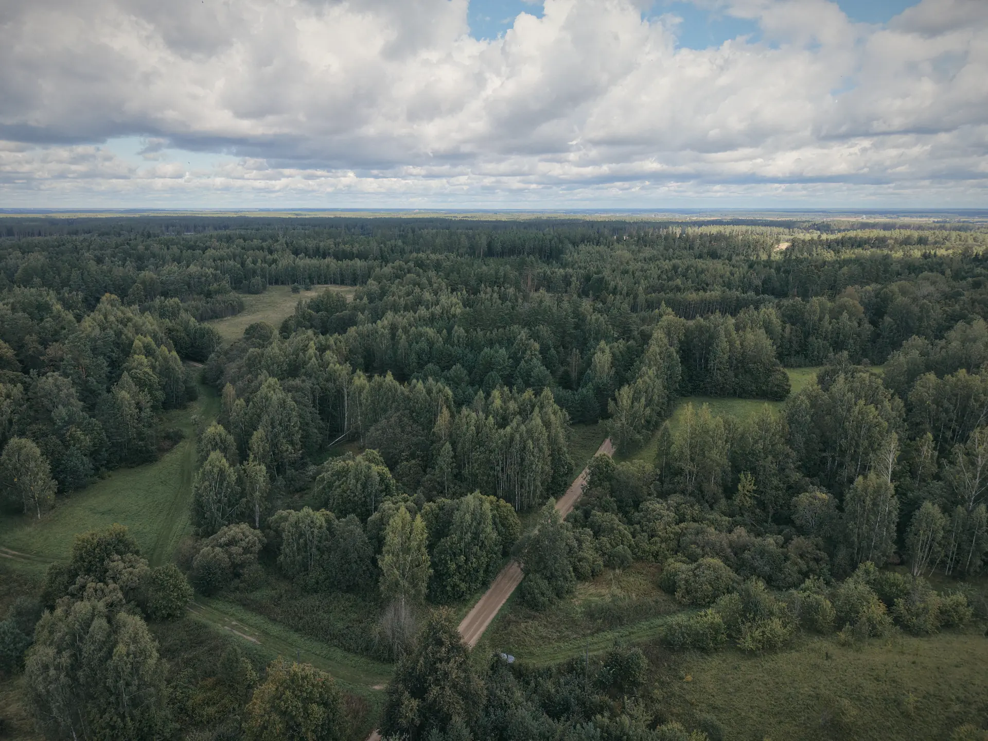 Latvijas mežs no putna lidojuma
